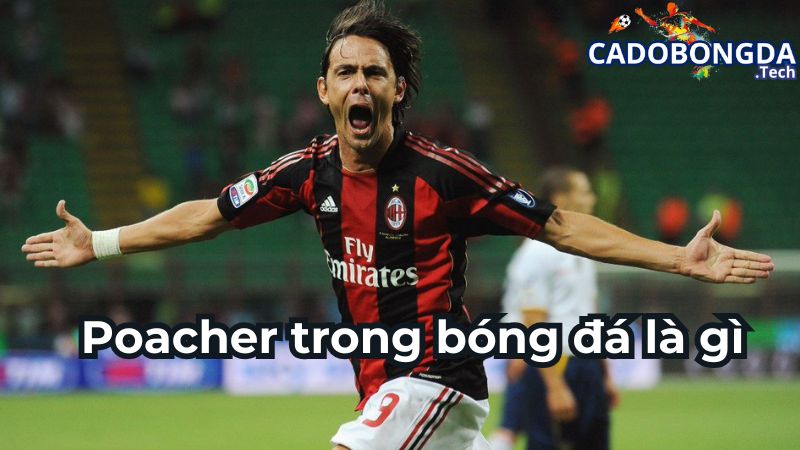 Poacher trong bóng đá là gì?